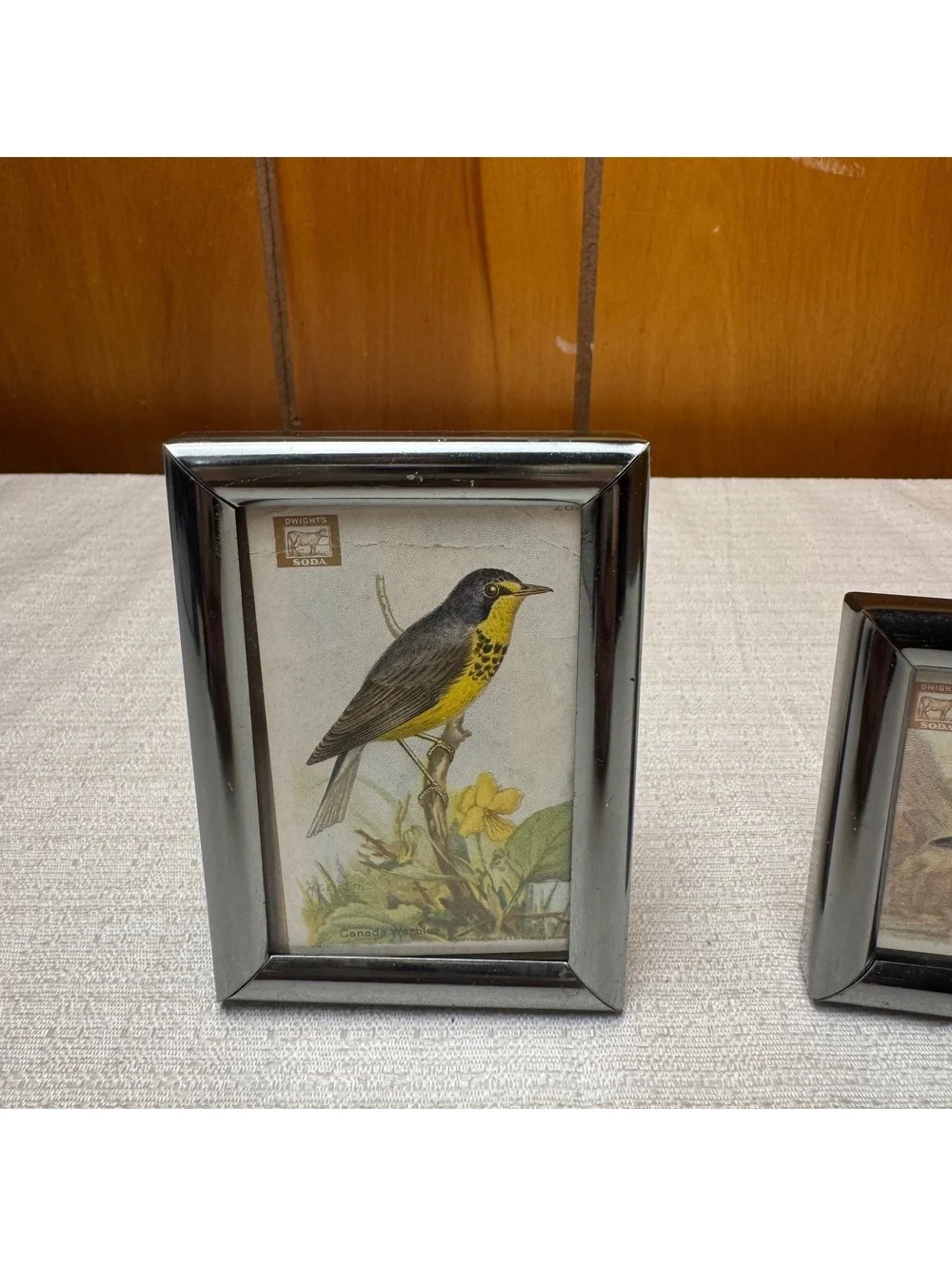 Vintage Mini Bird Prints in Silver Tone Frames Set of 2 Dwight’s Soda Card Art
